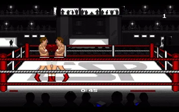 Boxing Masters screen shot game playing